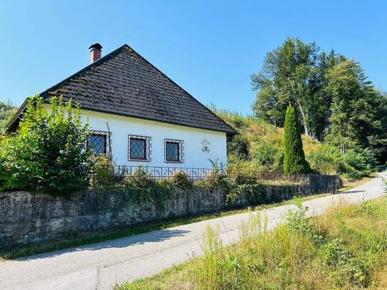TRAUMHAFTE ALLEINLAGE mit ca. 1.000 m² Bauland - ca. 1.670 m² Grün- & Waldflächen.