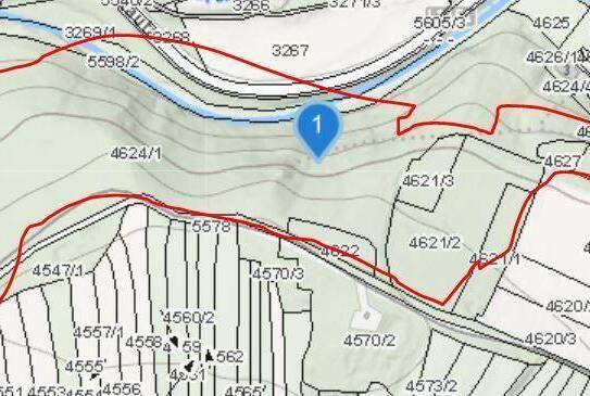 Wehrleiten Wald in Pulkau zu verkaufen (6ha)