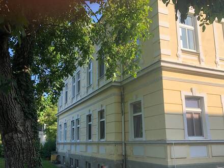 Sanierte helle Altbauwohnung mit Garten
