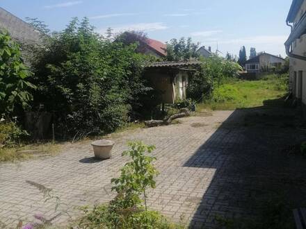 Haus zu vermieten