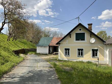Charmanter Bauernhof mit traumhaften Fernblick und einzigartigen Flair