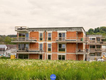 Reduzierter Preis - Stern-Villen Haus Polar Top 06
