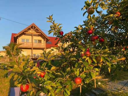 Kleines ApartHotel/Ferienhaus/Mehrgenerationenhaus/Reiterhof im Paradies - PROVISIONSFREI