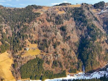 Traumhaftes Land- und Forstparadies in Kärnten Perfekt für Naturliebhaber!