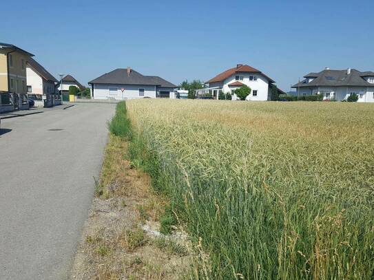 Amstetten - Schönes Haus in Holzriegelbauweise mit Grundstück