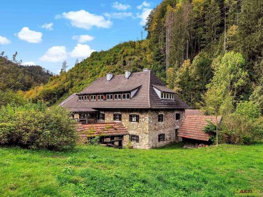 Historisches Landhaus in Neuberg an der Mürz – Idylle und Natur pur!