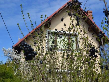Einfamilienhaus samt separatem Rohbau und Garten in 2070 Unternalb