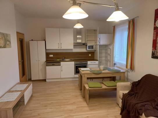 Attraktive, zentrale 1-Zimmer-Wohnung - möbliert oder unmöbliert mietbar
