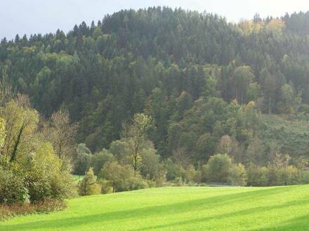 Mietkauf möglich - Natur Pur 20km/20min nach Graz und Flughafen