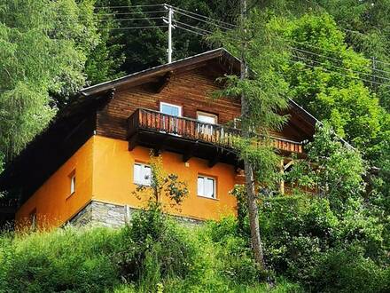 Gebirgshaus Adlerhorst - Sonniges Hüttenfeeling im eigenen Wald