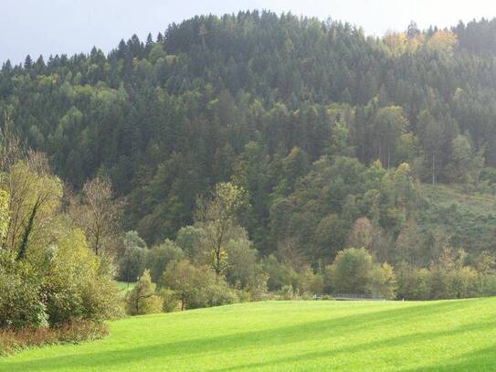 Natur Pur 20km/20min nach Graz und Flughafen