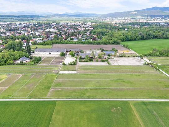 Renommiertes Reitanwesen im Herzen Österreichs