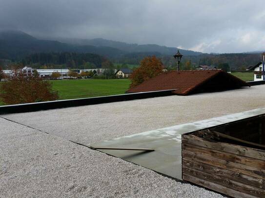 Dachterrassen Wohnung Berg- WaldBlick ("Penthouse")