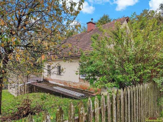 Sanierungshaus mit großem Grundstück und Wald. - Naturlage im Rosental.