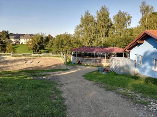 Pferdehof mit Entwicklungspotential in Eggendorf im Traunkreis!