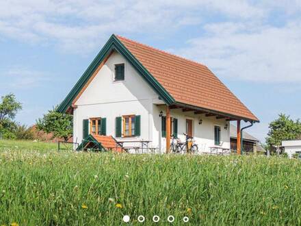 Ferienhaus mit Blick auf die Burg Güssing zu vermieten