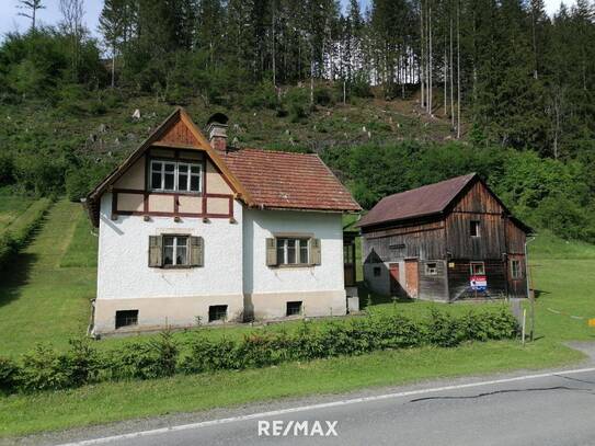 Haus mit Stall, Wiese und Wald