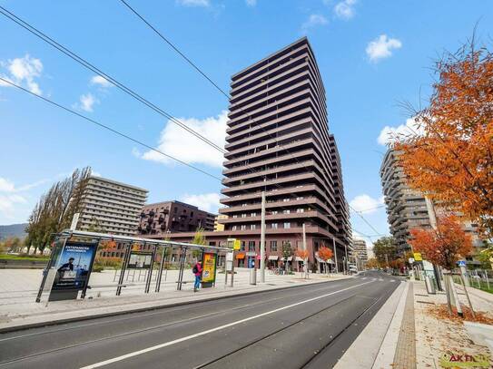 Moderner und optimierter Neubau mit Blick über Graz! - Zentral in Reininghaus mit fußläufiger Infrastruktur.