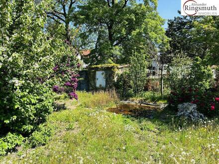 1.Monat Mietzinsfrei - Wohnung mit Garten in traumhafter Ruhelage -2 Zimmer plus Küche, top saniert