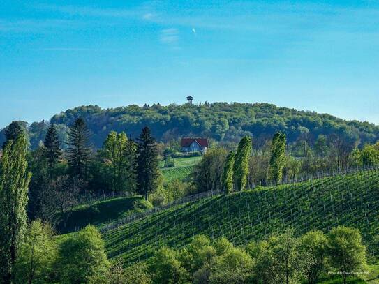 Panorama-Landhaus in der Südsteiermark – Ihr Traumdomizil mit Weinbergblick