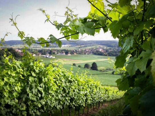 Familiengeführter Weinbaubetrieb mit Buschenschank an der Oststeirischen Römerweinstraße