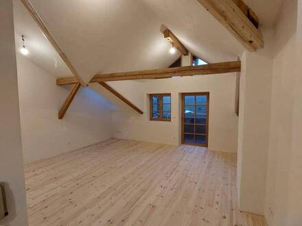 Erstbezug in neu sanierte Dachgeschosswohnung mit Freizeitwohnsitzwidmung am Miemiger Plateau