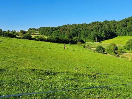 Idyllisches Paradies für Visionäre und Gestalter großer Träume!