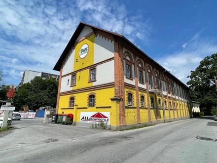 Vermietete Gewerbeliegenschaft (Anlage, Eigennutzung, Wohnprojekt)