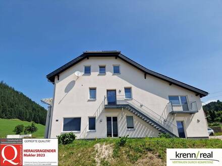 Voll ausgestattet, komplett saniert und energieeffizient! Mietshaus mit 20 Zimmern!