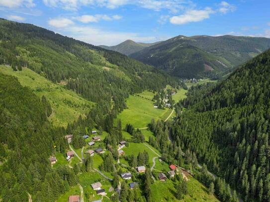 Alm- Ferienhaus in der Innerkrems / Kärnten