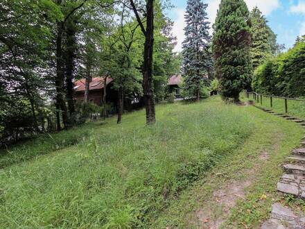 Idyllisches Grundstück mit Baum- und Altbestand bietet Platz für 2 Einfamilienhäuser oder Villa