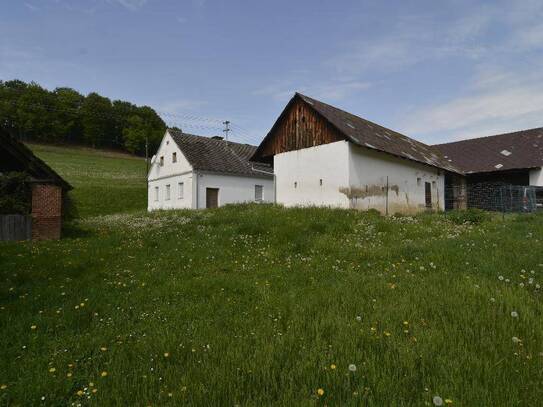 Geschlossene Landwirtschaft in Alleinlage mit 5,8 ha und zwei Dreikanthöfen – eine seltene Gelegenheit!