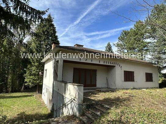 Sanierungsbedürftiger Bungalow mit guter Bausubstanz auf 2600m2 Bauland!