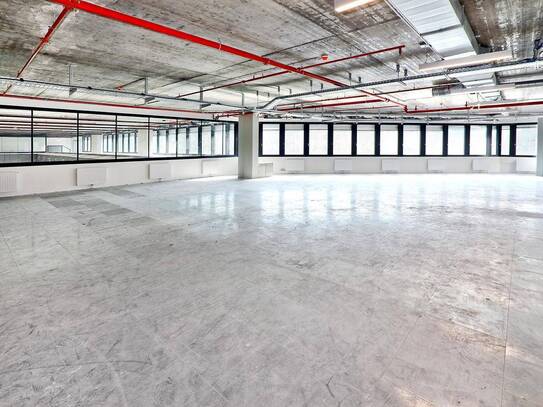 FRANCIS - 2.450m2 Büroloft auf einer Ebene