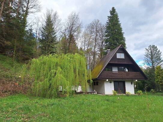 Ferienhaus mit tollem Grundstück zu vermieten!