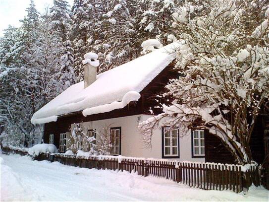 Nur 1h von Wien | Idyllisches Einfamilienhaus in der Nähe des Schneebergs