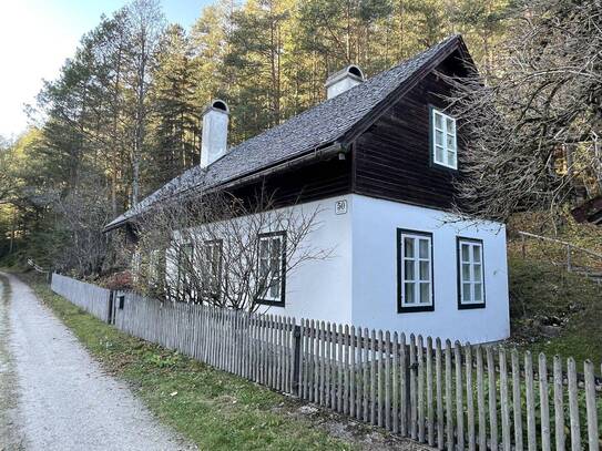 Idyllisches Einfamilienhaus im romantischen Klostertal | Nur 1h von Wien