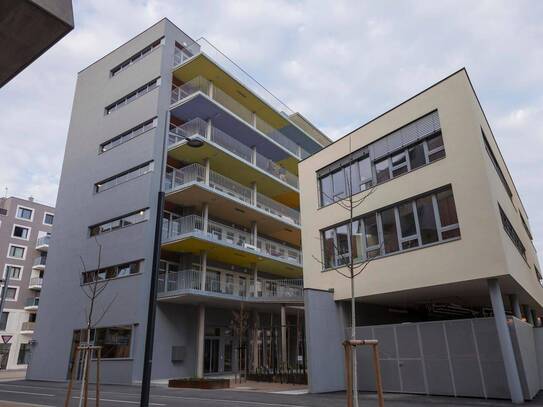 Helles 90 m² Business-Loft in der Seestadt Aspern (1220)