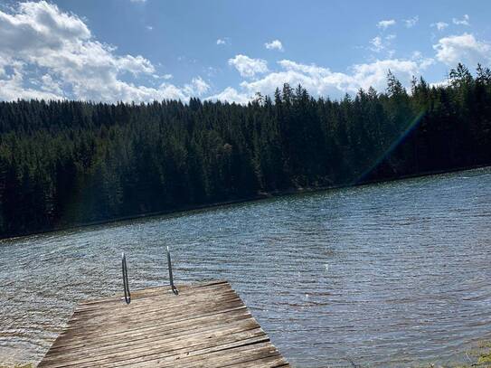 Große Ferien-Wohnung mit Zugang zum Packer Stausee