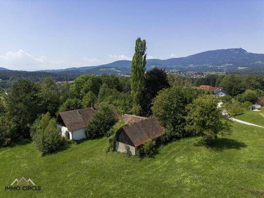 Idyllischer Scheibengrund mit Altbestand und herrlichem Fern- und Grünblick!