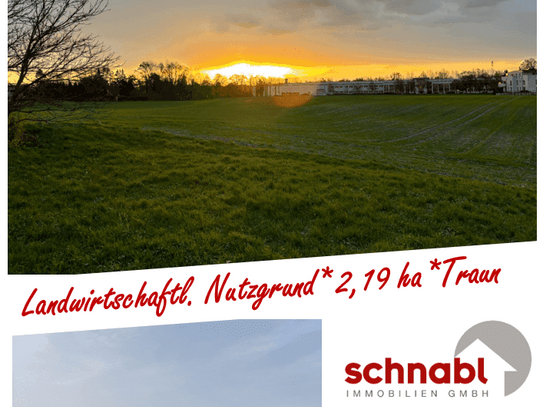 Landwirtschaftlicher Nutzgrund mitten in Traun