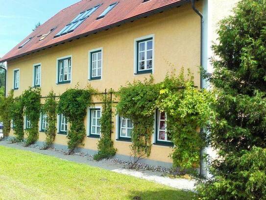 Apartments am Schloss Wald - Excellent wohnen und schlafen im Elsbeerland