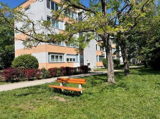 Komfortable und helle 3 Zimmerwohnung in grüner Parklage