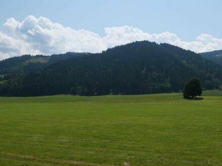 Großartiges Panorama - ohne die Berge zu erklimmen!