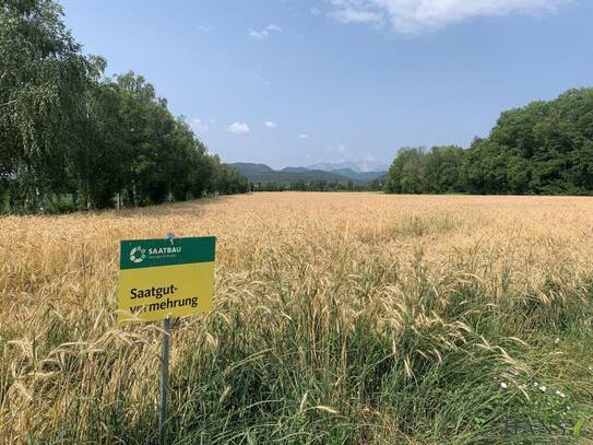 AGRAR LANDWIRTSCHAFT mit fruchtbarem Boden in guter Lage +++ Anschlüsse vorhanden