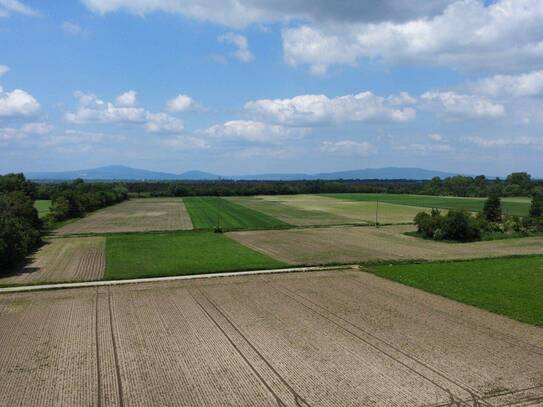 Preisminderung!!! Hochwertige Doppelhaushälfte in Ruhelage Siegersdorf/Pottendorf