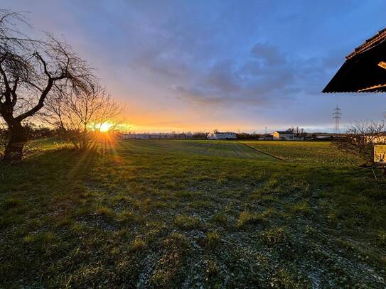 Landwirtschaftlicher Nutzgrund mitten in Traun