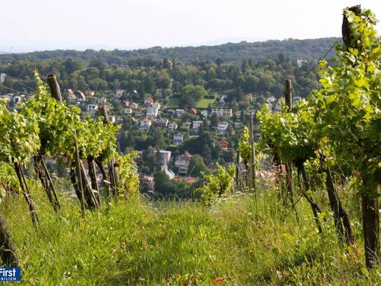 Prachtvolles Einfamilienhaus im Wiener Wald nächst Salmannsdorf/Neustift am Walde - Neubau