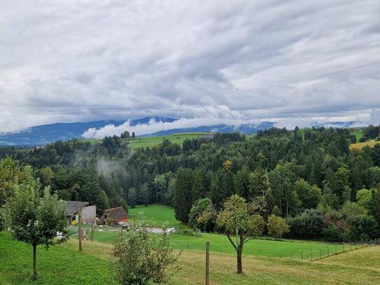 Landwirtschaft mit Haus, Maisonettewohnung, Nebengebäuden, 13ha Grund und Wald auf Leibrente in GU