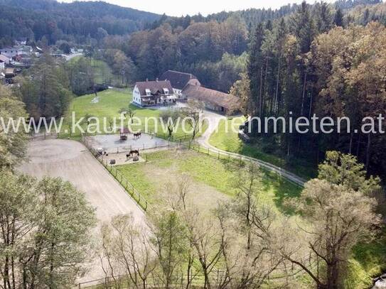 Pferdeparadies inkl. traumhaftes Landhaus auf über 4ha Grundfläche!